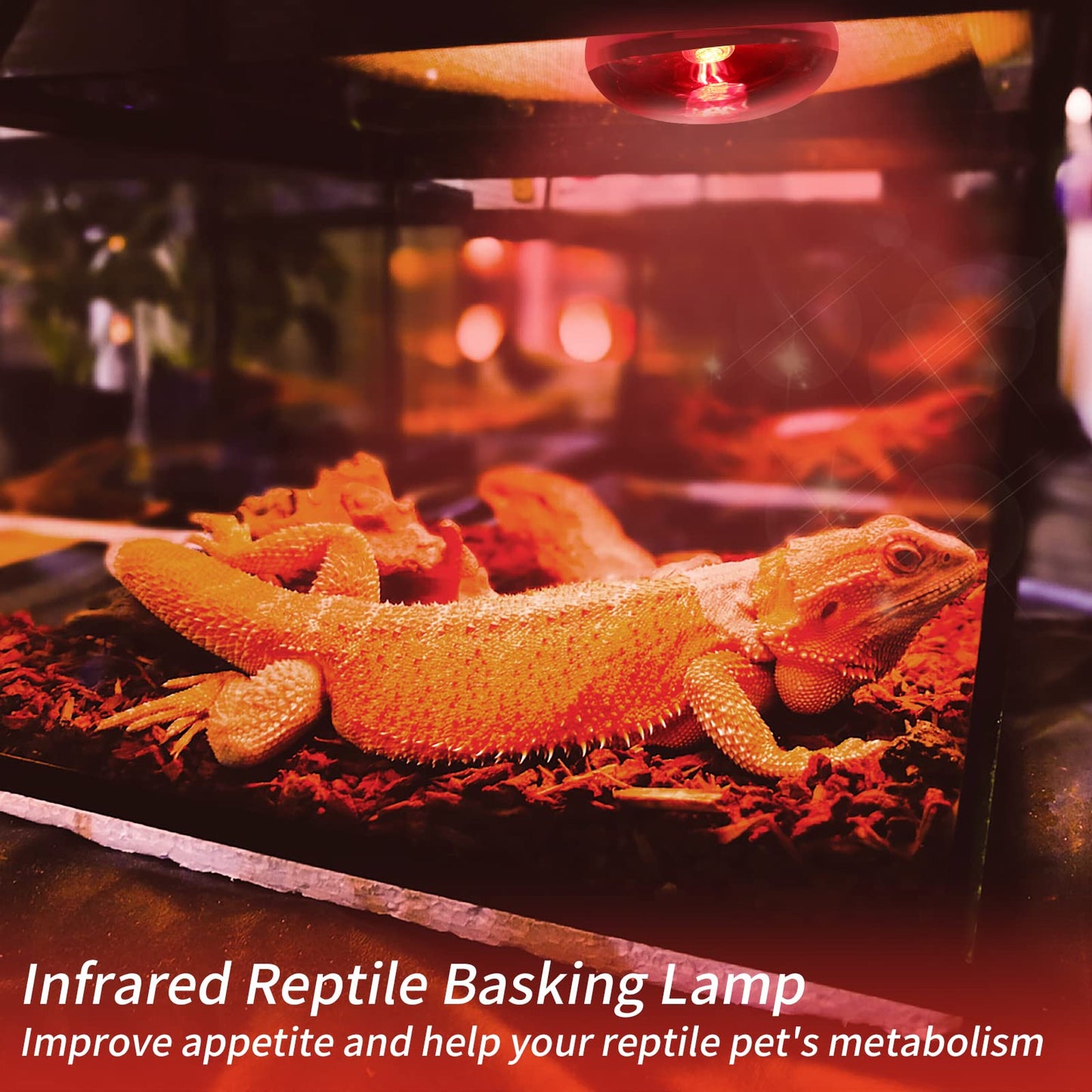 REPTI HOME Reptile Heat Lamp Bulbs,Infrared 100W Reptiles & Amphibians Basking Spot Lamp Bulb, 2 Packs Red Heat Emitter Light for Chickens Coop
