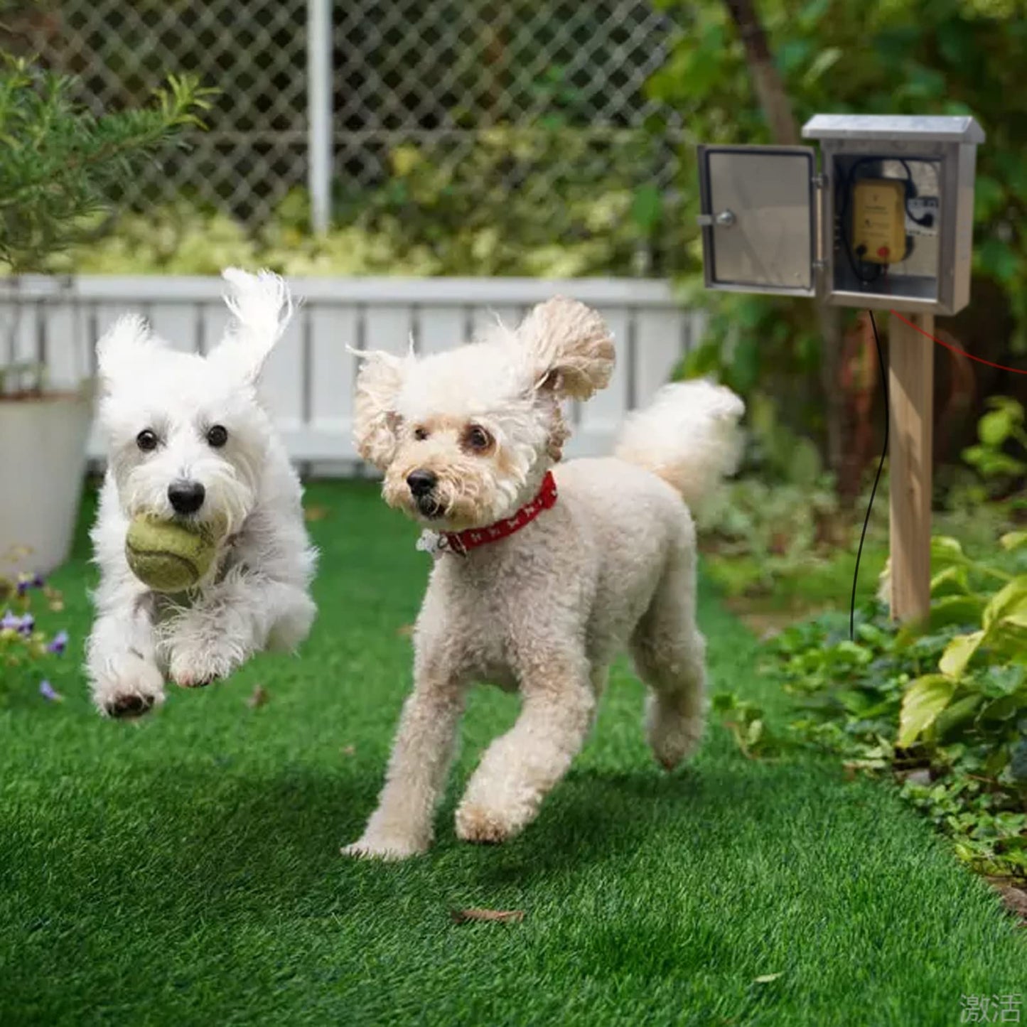 FenceMate AC Powered Electric Fence Charger Output 0.25J up to 5 Miles to Contain Small Pet, Poultry, Keep Rodent & Nuisance Animals Out, Used in Homestead, Garden, Pond, Fence Energizer up to 6 kV