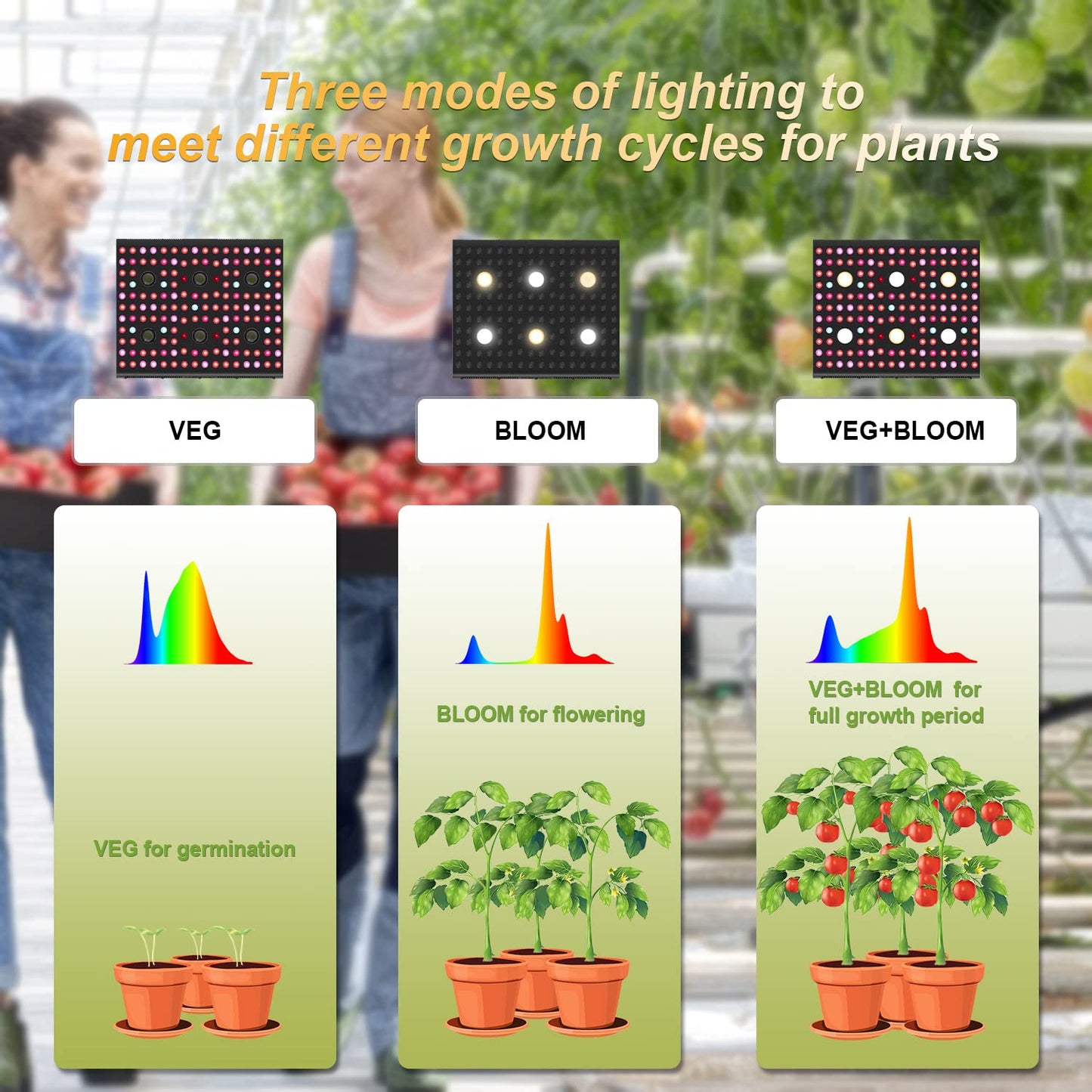 AGLEX 655W COB LED Grow Light, Full Spectrum Plant Grow Lamp with Daisy Chain Veg and Bloom Switch for Hydroponic Greenhouse Indoor Plant Veg and Flower (C3000)