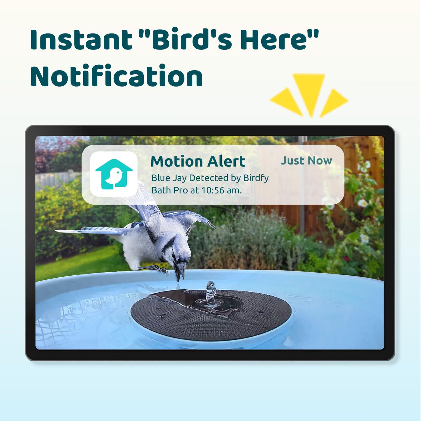 Birdfy Smart Bird Bath with Camera Solar Powered & Fountain & Stand, Dual-Lens Camera for Wildbird Watching, Auto Capture Bird Videos & Motion Detection (AI Lifetime)