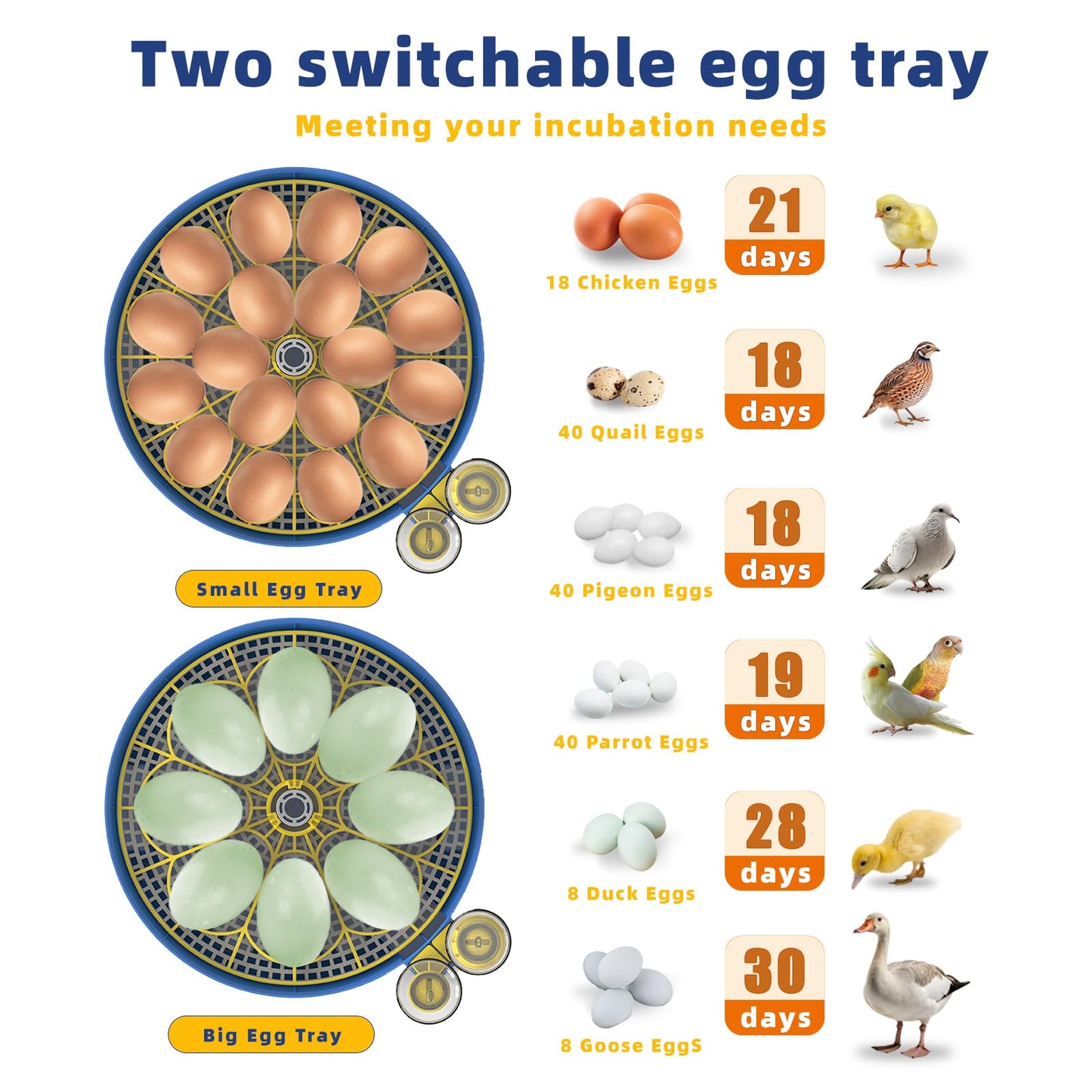 18 Egg Incubators for Hatching Eggs, Chicken Egg Incubator with Automatic Egg Turning & Humidity Control, 360° Viewing, Egg Candler, for Home, Farm, Classroom, Hatching Duck, Quail, Turkey, Goose