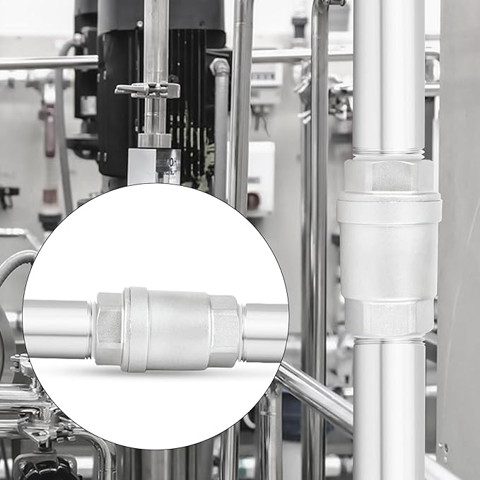 TAISHER 1PCS 304 Stainless Steel 1/4" Female Vertical Check Valve，Backflow Prevention, One Way Spring Check Valves CF8 WOG 1000