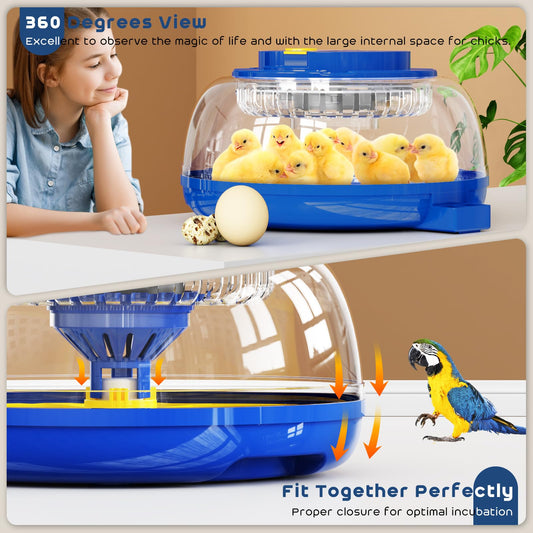 AsFrost Incubators for Hatching Eggs, 2025 Upgrade Chicken Egg Incubator with Precise Humidity & Temperature Control, Automatic Egg Turning, 8~40 Eggs Incubator for Chicken, Ducks, Goose, Quail -Blue