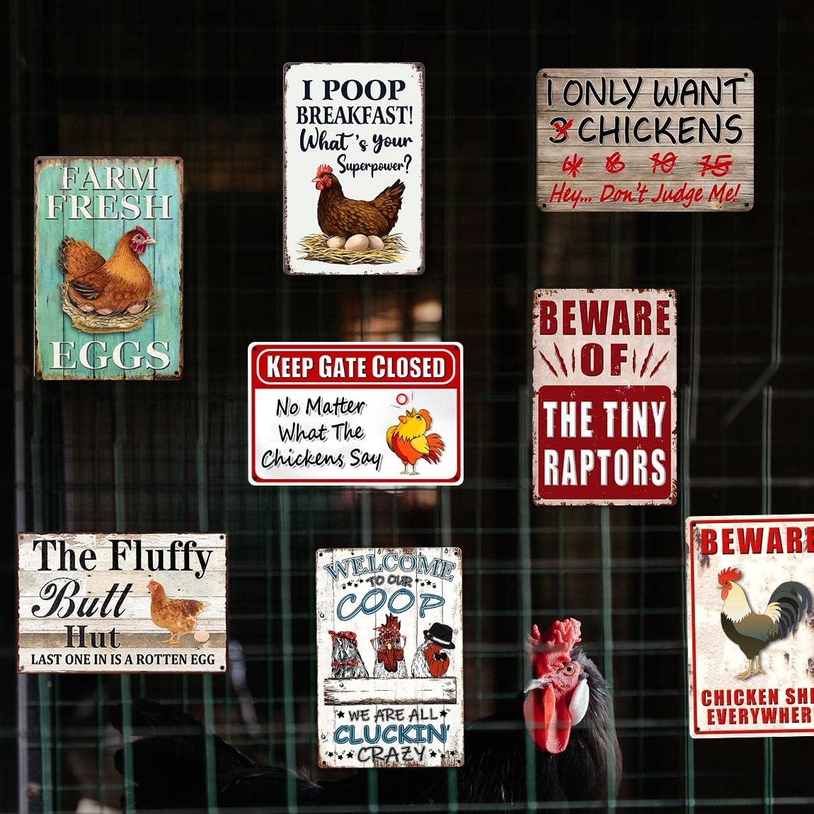 8 Pack Chicken Coop Accessories, Funny Chicken Coop Metal Signs Outdoor Chicken Decor Chickens Farm Personalized Tin Sign Chicken Gifts For Chicken Lovers Chicken House Decor 8×12 Inch