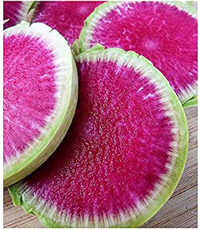 Watermelon Radish - Heirloom Seeds