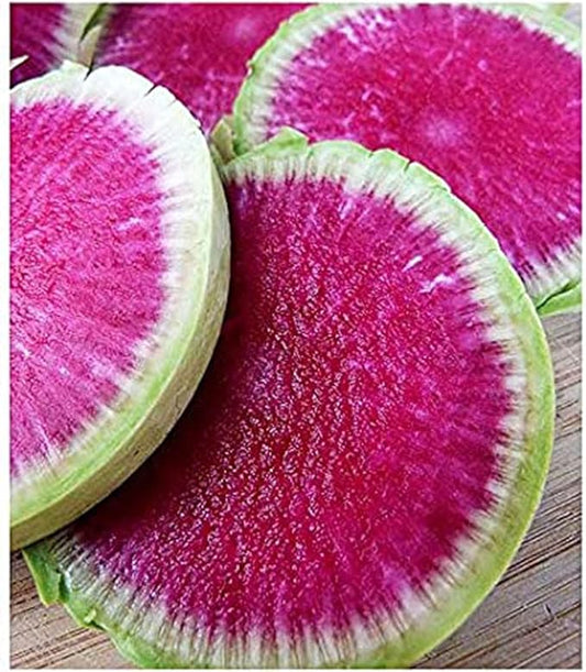 Watermelon Radish - Heirloom Seeds