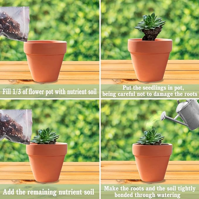 Halatool 10QT Premium Indoor Potting Soil Organic Aloe Vera Plant Potting Mix Garden Soil for Succulents Bonsai Cactus Houseplants Flowers Vegetables & Herbs