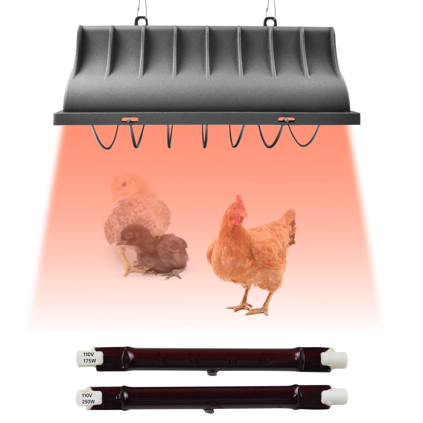 JUSONEY Chicken Coop Heater for Chicks,Brooder Heater with 2pcs Heat Lamp(250W and 175W),Adjustable Temp & Height Chicken Brooder Box Supplies for Chicken Livestock Dogs Sheep Pets