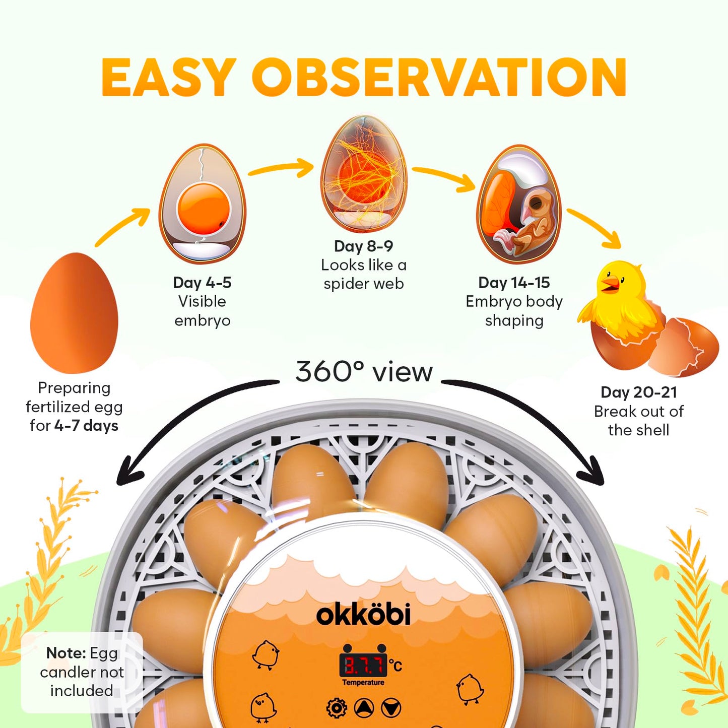 Okkobi M12 Egg Incubator with Automatic Turner and Humidity Control - 12/24 Eggs, 360° View, Easy to Use and Clean - Incubadora de Huevos de Gallina - Made for US - White & Orange