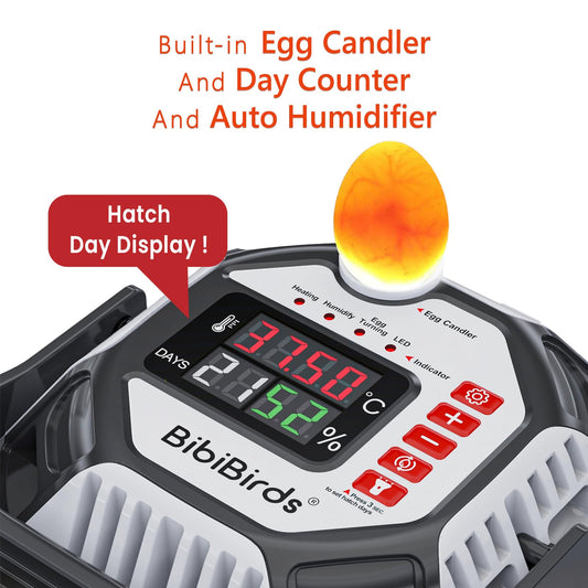 Incubators for Hatching Eggs with Automatic Humidity - MS12,Egg Incubator with Automatic Egg Turning and Digital Humidity Control to Hatch Chicken, Quail, Duck