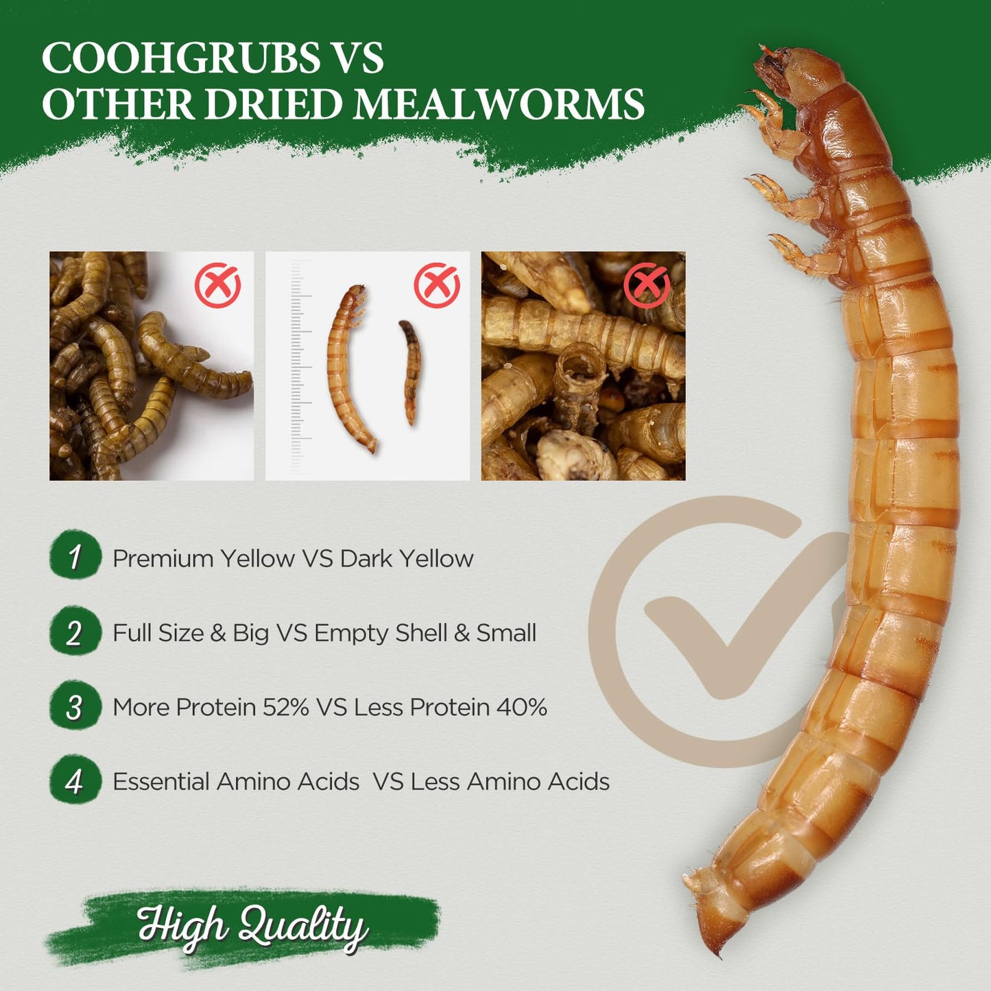 COOHGRUBS Dried Mealworms for Birds, Non-GMO High Protein Chicken Treats & Poultry Feed, 2 lb Bag