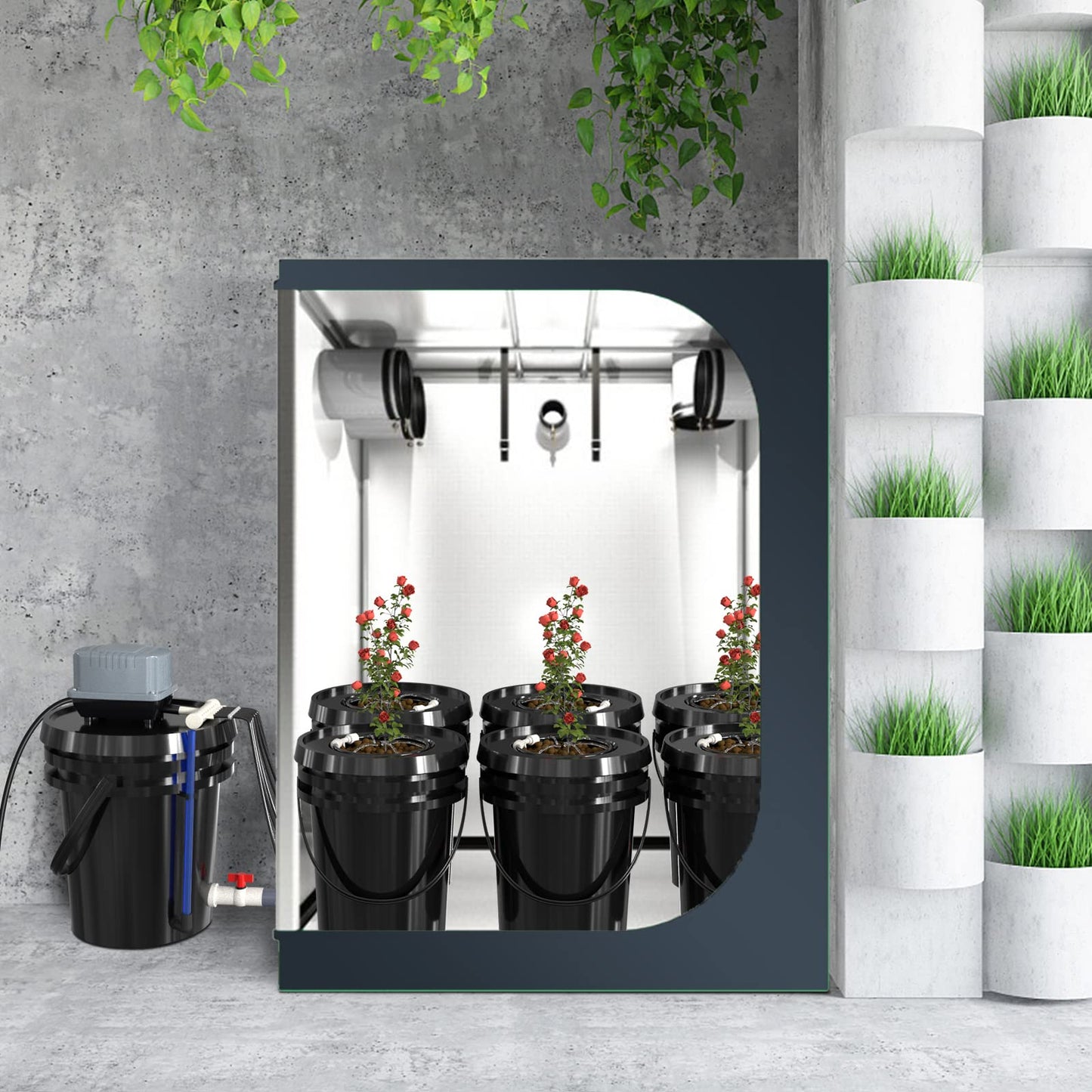 RDWC Top Feed Drip Hydroponics Systems 6 Buckets + Reservoir, Recirculating Deep Water Culture Hydroponic Bucket System, 5 Gallon Hydroponics Grow System Kit with Water Pump, Air Pump