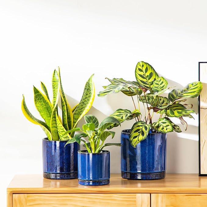 vancasso Ceramic Plant Pots, 3 Piece Planters for Indoor Plants, 4.25+5.25+6.25 Inch Flower Pots with Drainage, Plant Pots Indoor for Succulent, Pothos, Snake Plant and Money Tree, Etc (Blue)