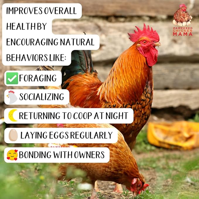 Pampered Chicken Mama Organic Pumpkin Seed Delight Backyard Chicken Supplement Scratch Treat Feed, Supplies, & Poultry Vitamins with Herbs for Healthy Hens (4 pounds)