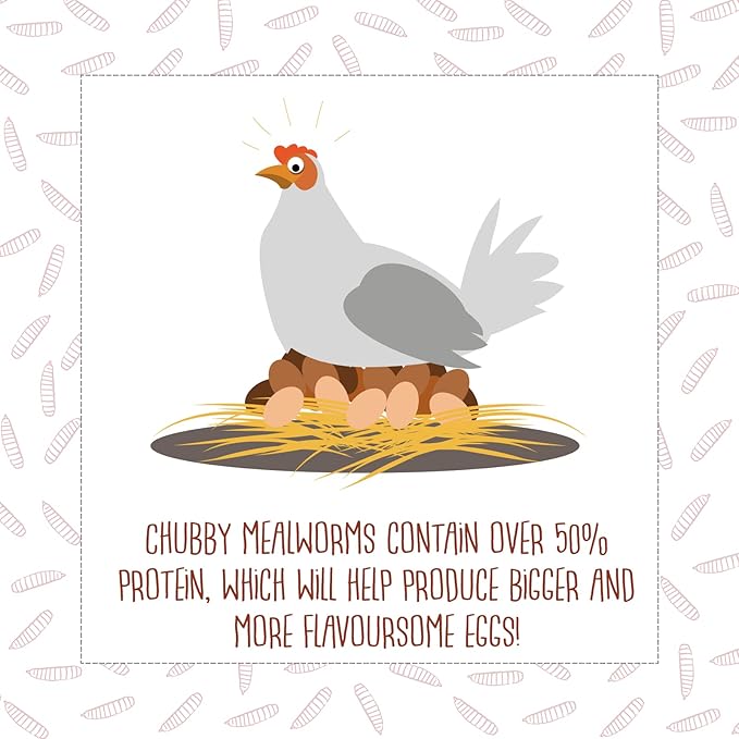 Chubby Dried Mealworms 3Lb Premium Non-GMO Dried Mealworms for Chickens High Protein Chicken Feed Meal Worms for Wild Birds