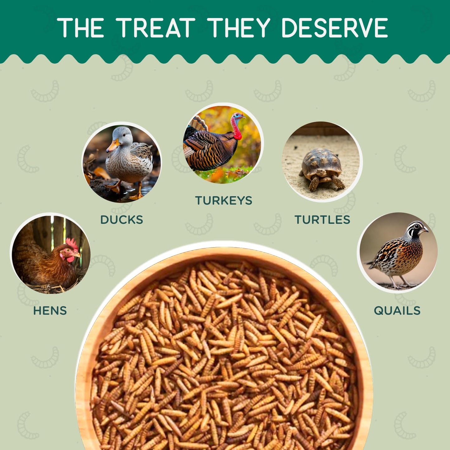 FLYGRUBS 10 lb Dried Black Soldier Fly Larvae - High Calcium Chicken Feeder - 85X More Calcium, Non-GMO Meal Worms for Wild Birds, Ducks, Turkeys, Quails, Turtles - Nutrient-Rich BSFL
