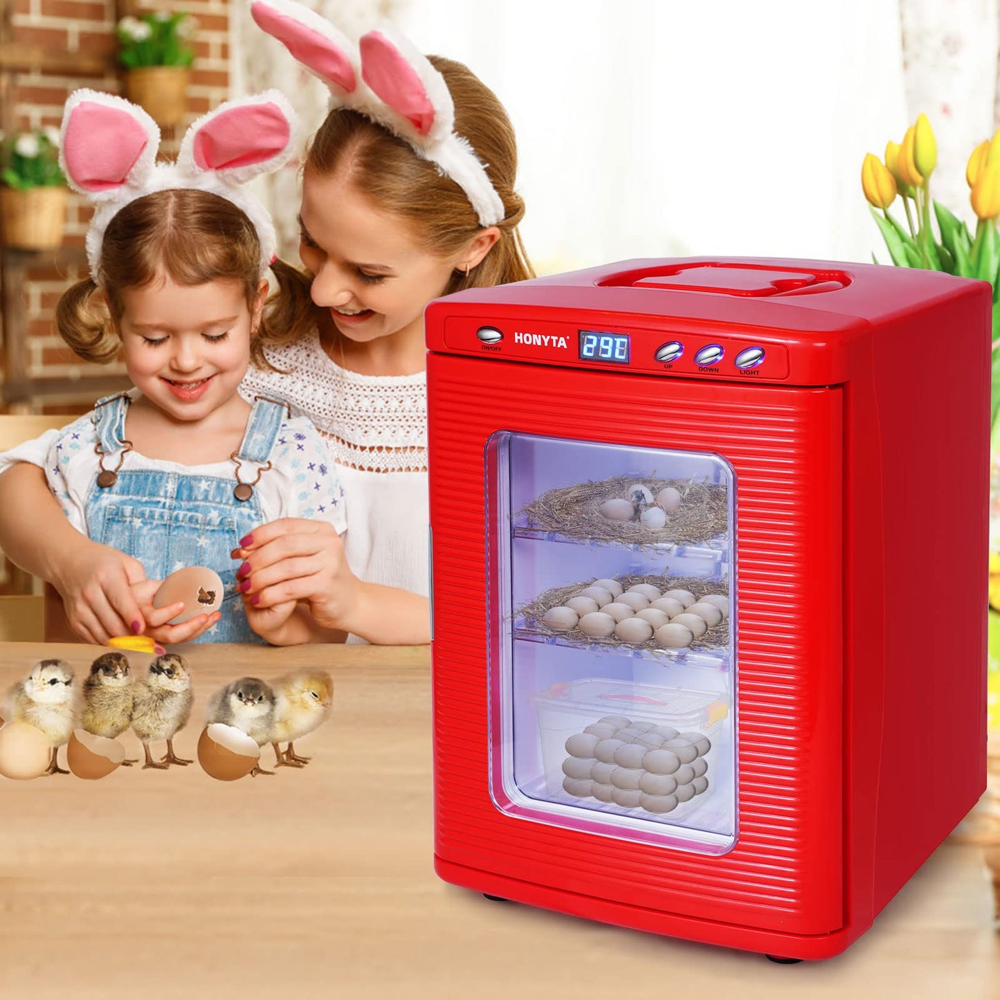 RYFT Incubators for Hatching Eggs, 25L Portable Reptile Scientific Lab Incubator with 5°C-60°C, 12V/110V Heating and Cooling for Small Reptiles (Red)