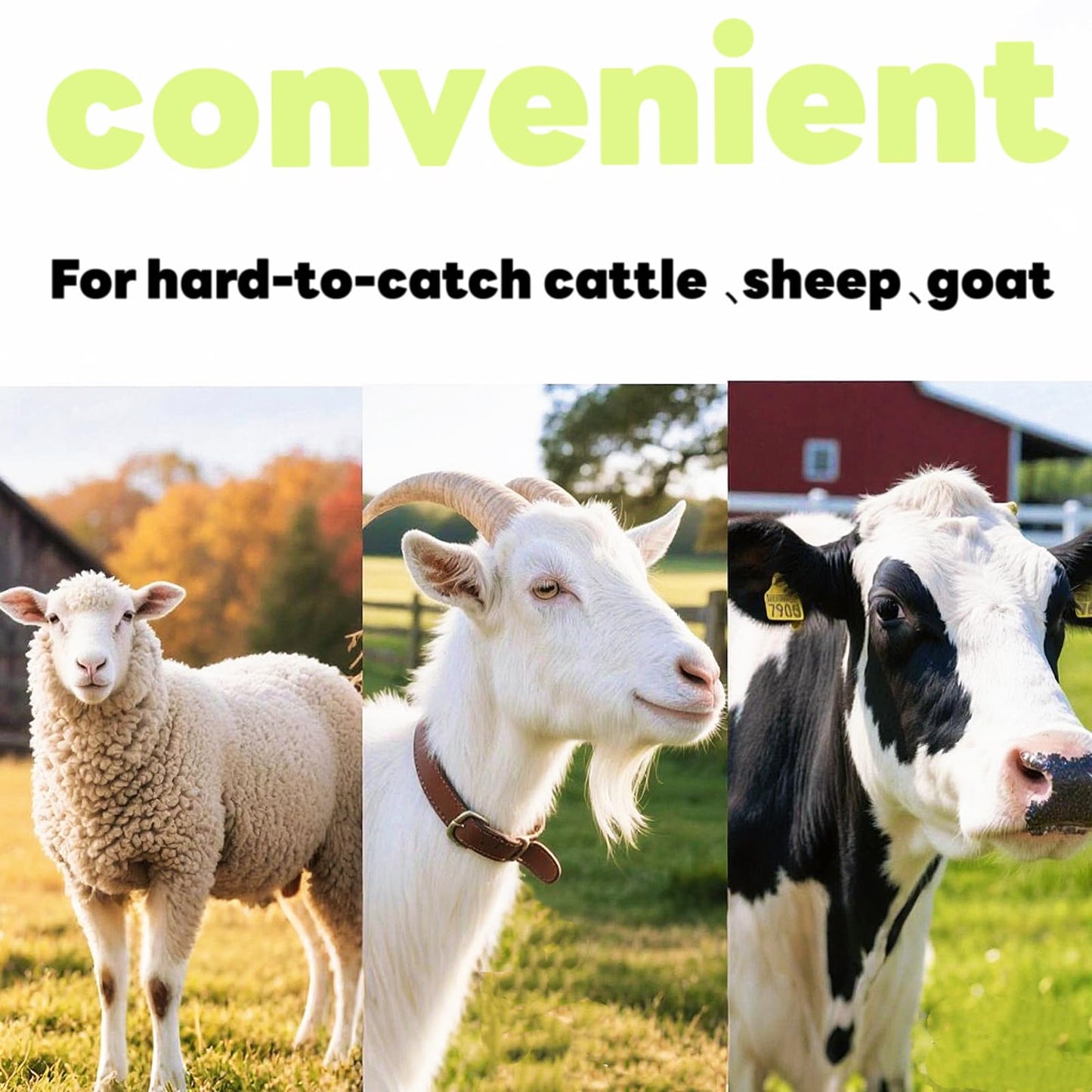 1vemactimex for Sheep, Goat, Cattle, Chickens (Multi-Species)
