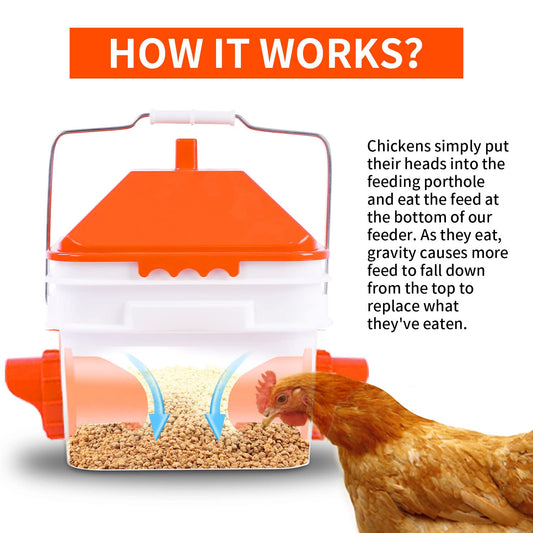 GUEOQTC-10 Pounds Chicken Feeder with 4 Ports, Rainproof Poultry Feeder for Up to 10 Adult Chickens or 15 Chicks（Patented Products）