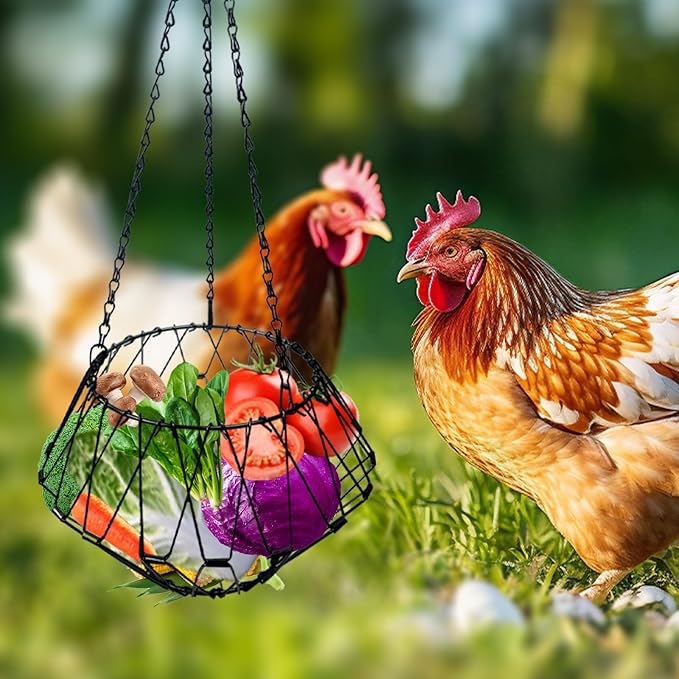 Hanging Chicken Feeder Accessories, Coop Must Haves -Foldable 6.5Inch Large Poultry Vegetable Fruits Chicken Treat Dispenser with 3pcs Hanging Chain,Chicken Toys for coop (Chicken Feeder 1 Pack)
