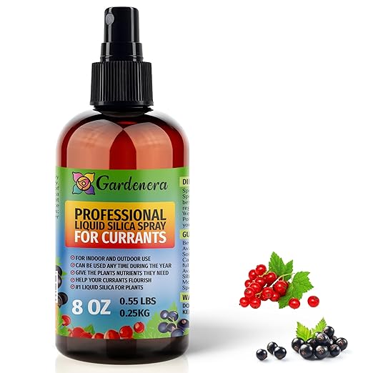 𝐒𝐔𝐏𝐄𝐑𝐈𝐎𝐑 Liquid Silica Boost Fertilizer and Supplement Spray for Currants Plants – Pre-Mixed, Ready-to-Use Liquid Silicon Plant Superfood Mist for Indoor & Outdoor Plants – 8oz
