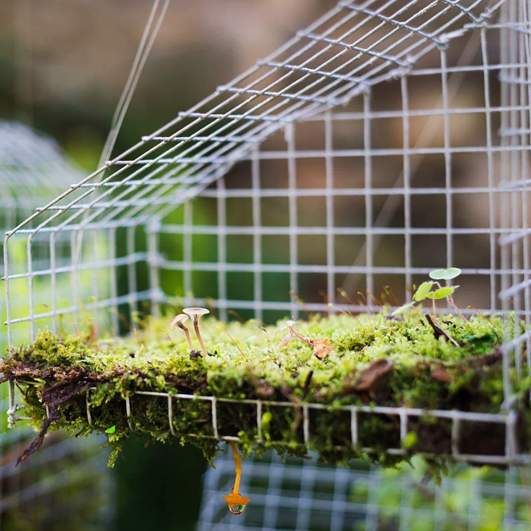 Hardware Cloth 1/4 inch 48 x 100 ft Wire Fencing: Galvanized Welded Garden Fence Roll Square Mesh 23 Gauge Chicken Rabbit Snake Cage Heavy Duty Welding Fencing