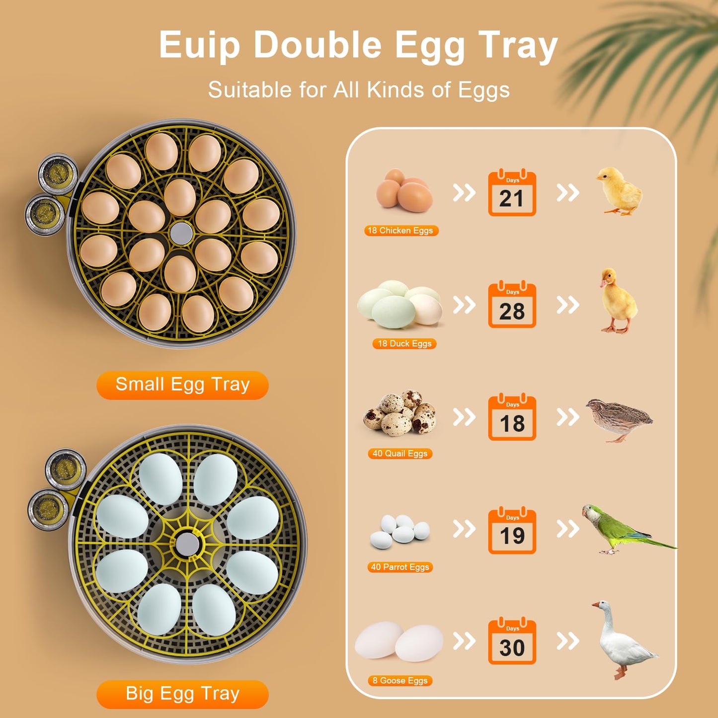 IBKINXX Incubator for Hatching Eggs-18 Egg Capacity, Automatic Egg Turner, Temperature & Humidity Control, 360° Viewing for Chicken, Duck and Quail Eggs