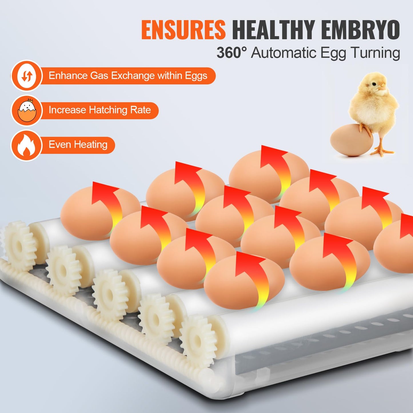 VEVOR 12 Egg Incubator, Incubators for Hatching Eggs, 360° Automatic Egg Turner with Temperature and Humidity Display, 12 Eggs Poultry Hatcher with ABS Transparent Shell for Chicken, Duck, Quail