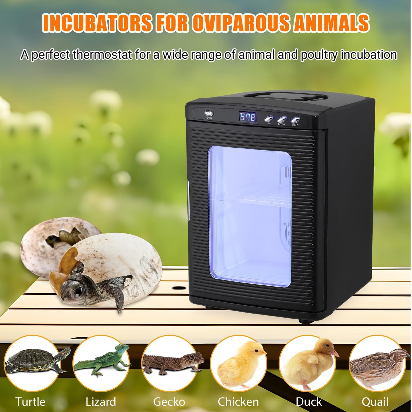 25L Reptile Incubator for Hatching Eggs - Portable Scientific Laboratory Incubator, Temperature Controlled 10°C-60°C for Small Reptiles, Cooling and Heating Digital Incubator, 12V/110V Black