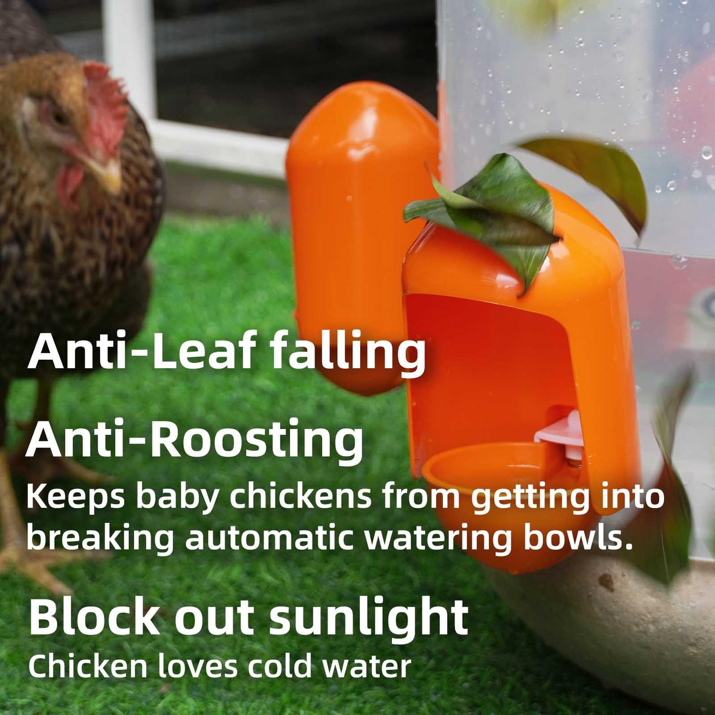 Large Chicken Waterer Cups Automatic with Anti-Roosting Cover | Poultry Waterer Cups Suitable for Chicks, Duck, Goose, Turkey and Bunny (5 Pack)