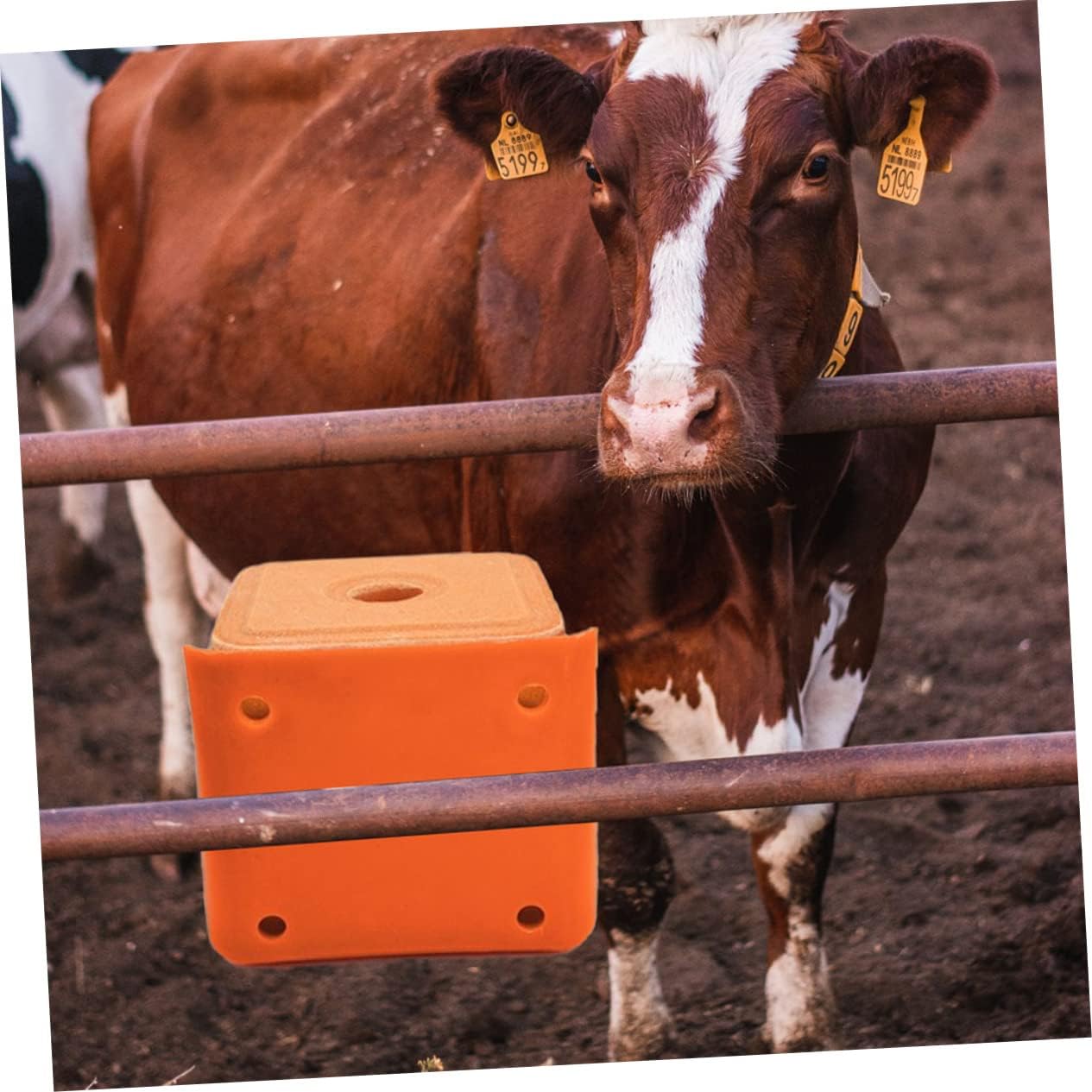 CAXUSD 2Pcs Thickened Salt Block Holders for Livestock Mixed Style Sheep Salt Lick Feeding Boxes with Lid and Spoon Durable Salt Containers for Cattle and Horses