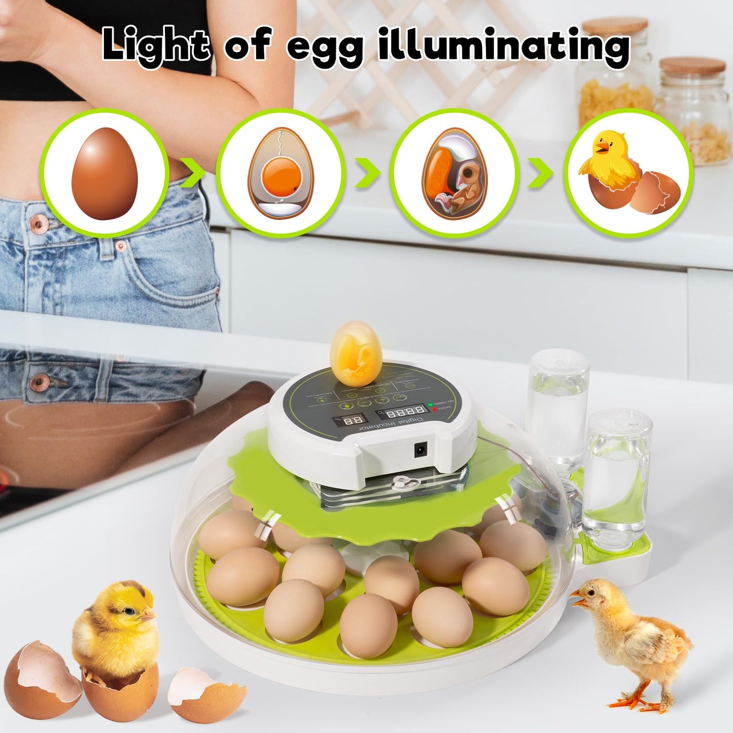18 Egg Incubator with Automatic Turning & Humidity Control, ±0.1℃ Precision for Chicken/Duck/Goose/Quail/Parrot Eggs(Green)