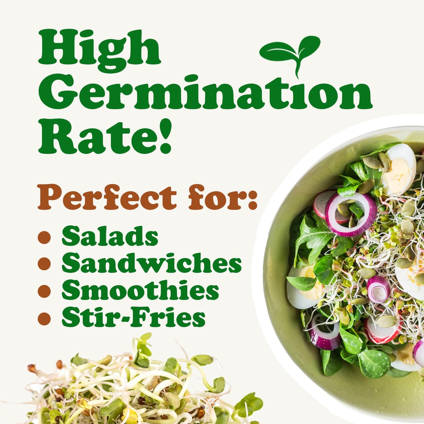 Food to Live Salad Mix of Sprouting Seeds, 10 Pounds – Broccoli, Clover, Radish, Alfalfa, Kosher, Raw, Vegan