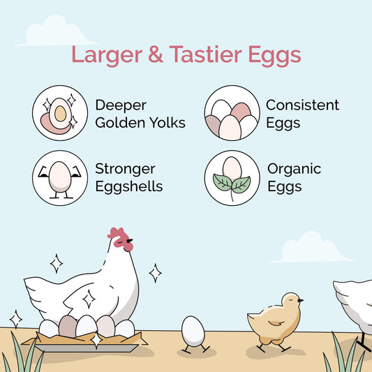 Mile Four Organic Chicken Feed – Starter Chick Mash, Non-GMO, USA Grown, 21% Protein, Corn-Free, Soy-Free, Non-Medicated Chick Feed, 2 lb Sample