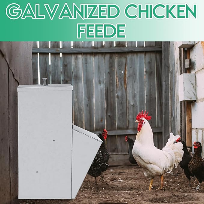 Uiifan 2 Pcs 11.5-50 Lbs Galvanized Chicken Feeder Weatherproof Poultry Food Dispenser with Lid Chicken Duck Food Dispenser Rat Proof Poultry Feeder for Cock Hen Duck(11.5 lb)