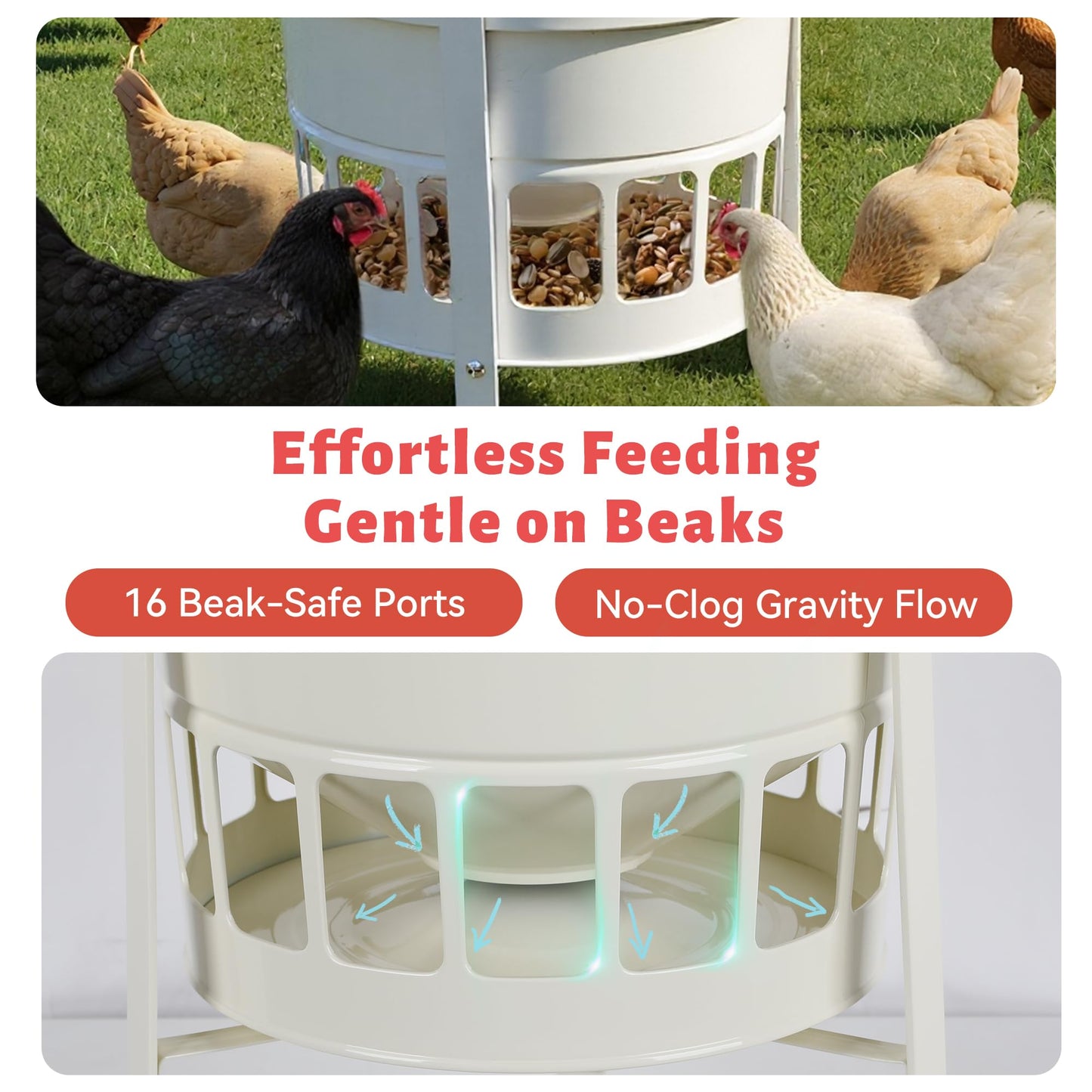 KOL Metal Chicken Feeder - 50lbs Poultry Feeder with 16 Ports, Powder Coated Rust-Proof Design & Smooth Edges for Safe Feeding (Jade White)