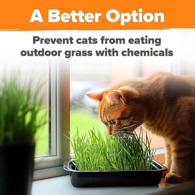 HOME GROWN Cat Grass Seed Mix – Non-GMO Oat, Alfalfa, Rye & Wheat Seeds for Cats | Indoor Pet Grass with Fast Germination | Digestive Aid, Hairball Relief & Safe Chew Alternative