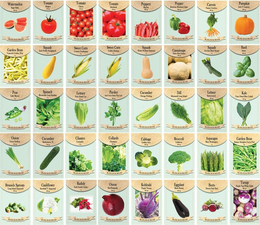 250 Packs Assorted Heirloom Vegetable Seeds 30+ Varieties All Seeds are Heirloom, 100% Non-GMO Thousands of Seeds (250 Vegetable Seed Packets)