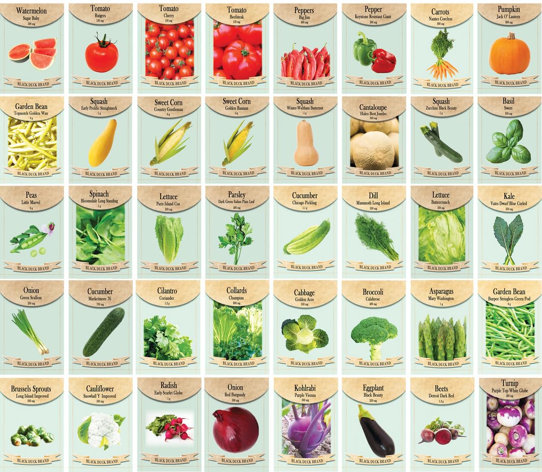 Black Duck Brand Set of 320 Vegetable and Herb Seeds - Semi Assorted - 100 Percent Non-GMO & Heirloom - Great for Starting a Garden! High Germination Rate! (320)