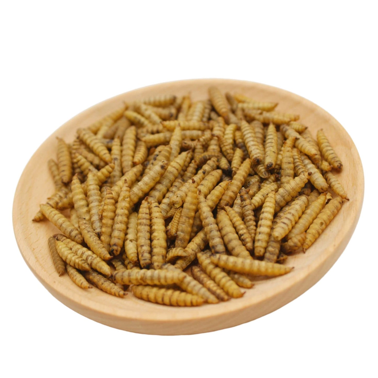 GRUBSFARM Premium Chicken Treats 2LB - Non-GMO & 85X More Calcium Than Meal Worms - Molting & Laying Supplement - BSF Larvae Treats for Layer Hens, Ducks Wild Birds