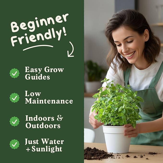 Seedboy Organic Oregano Seeds for Planting Indoor and Outdoor, Non-GMO and USDA Certified Herb Seed Packet for Hydroponic Garden Indoor or Planting Outdoors (Italian Oregano)