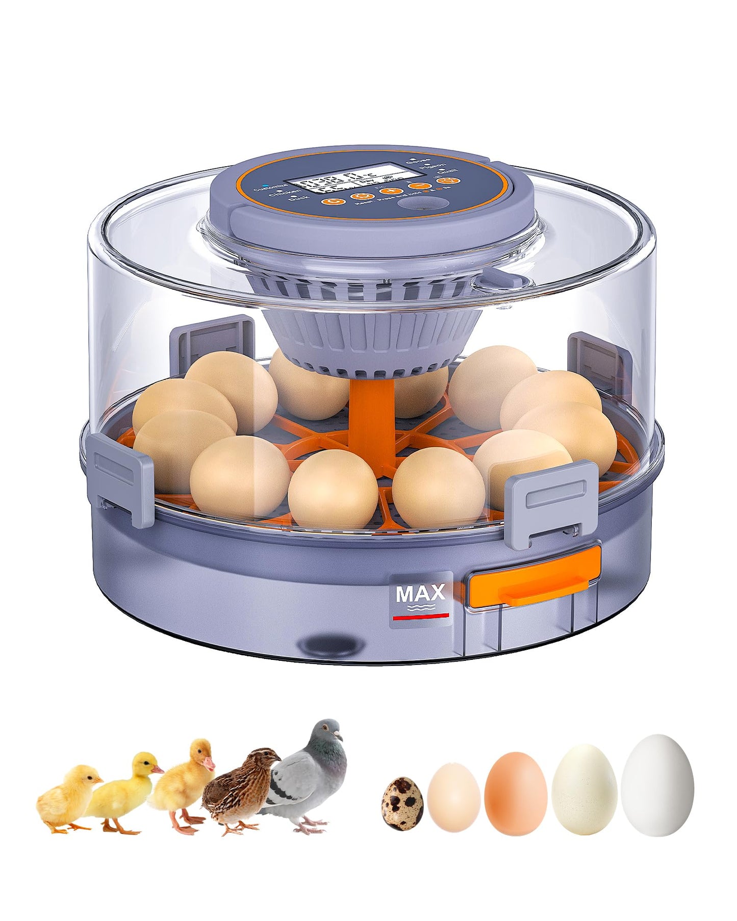 Incubators for Hatching Eggs, 12 Chicken Incubator with Automatic Egg Turning and Humidity Control, Baby Chick Cozy Supplies with Egg Candler for Quail, Chickens, Duck, Goose