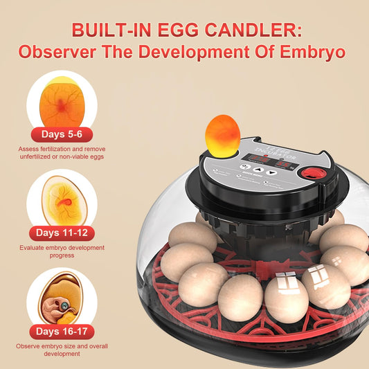 Incubators for Hatching Eggs: Chicken Quail Duck Bird Chick Egg Incubator kit with Automatic Egg Turner & Humidity Display,360 Incubator hatcher for Turkey Parrot Goose 12-24 Egg