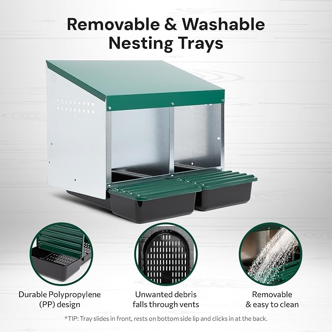 Compact Style 2 Compartment, Forward Rollout & Rollaway, Hen & Chicken Nesting Box with Protective Egg Laying Collection Lids