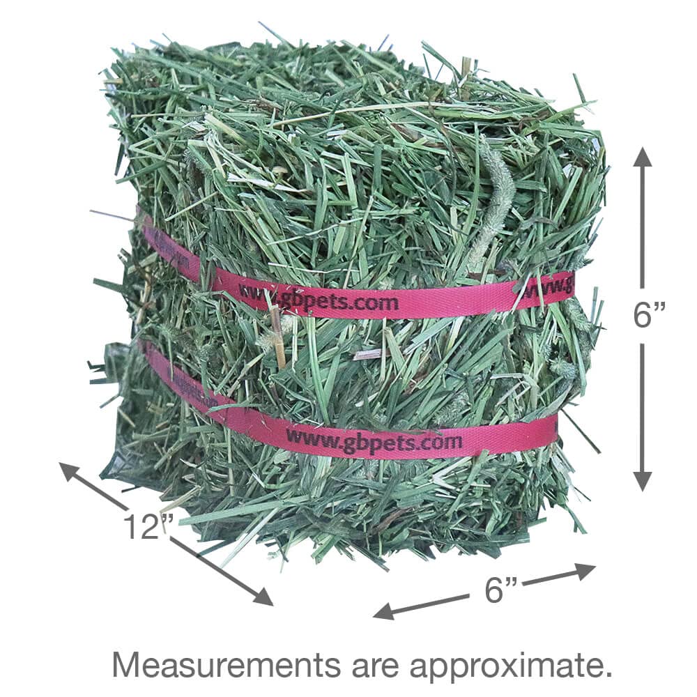 Grandpa's Best Timothy Hay Mini Bale, 10 Lbs (Packaging may vary),Brown