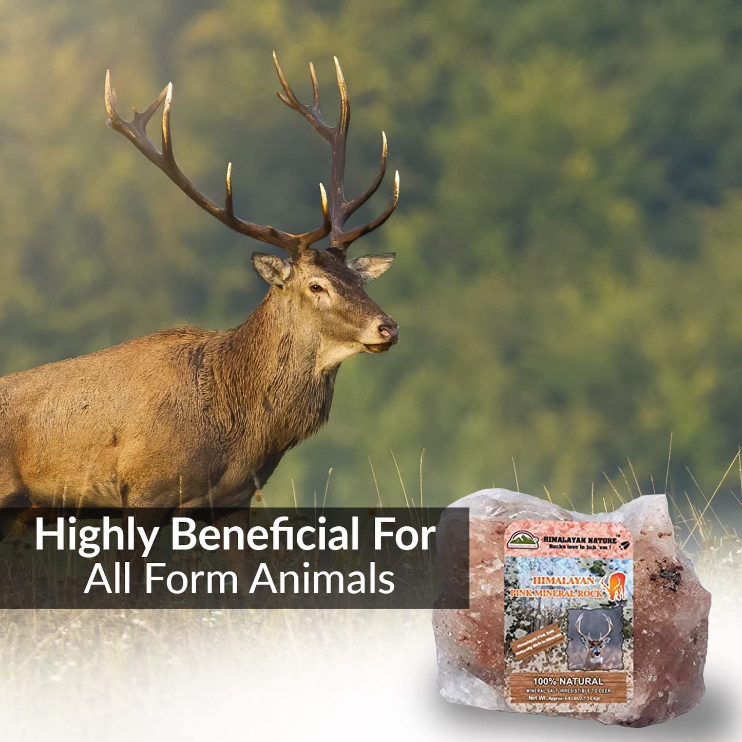Himalayan Nature Animal Licking Pink Salt Rock Lick Deer, 5 Pound, Natural Mineral Block, Hand-Carved, Ideal for Wildlife, Hunting, Photography, Health