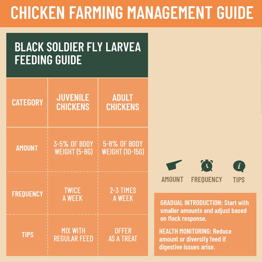 Joyprotyn 5LB Non-GMO Dried Black Soldier Fly Larvae for Chicken – 85X More Calcium Grubs Than Mealworms for Strong Eggshells & Healthy Growth - High Protein for Chickens, Birds, Ducks, Geese & Pets