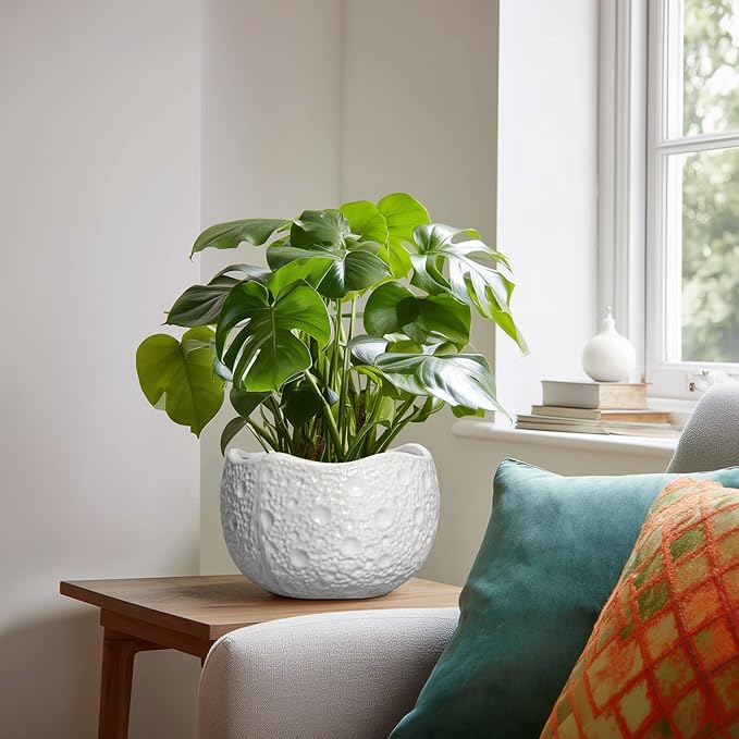 Ceramic Plant Pot - 8 Inch Round Planter with Drainage Hole, Decorative Plant Pots for Indoor Outdoor Plants, Modern Unique Flower Pots, House Living Room Decor, Housewarming Gifts, White