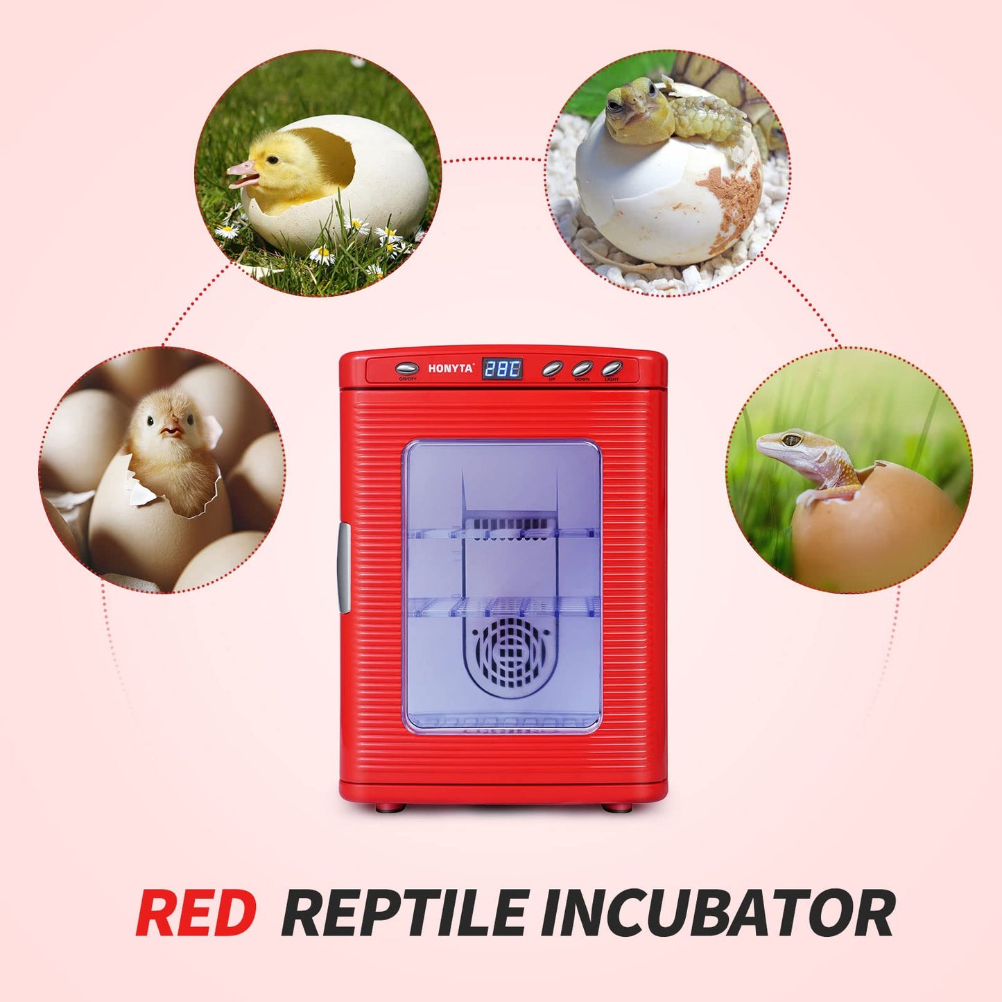 RYFT Incubators for Hatching Eggs, 25L Portable Reptile Scientific Lab Incubator with 5°C-60°C, 12V/110V Heating and Cooling for Small Reptiles (Red)