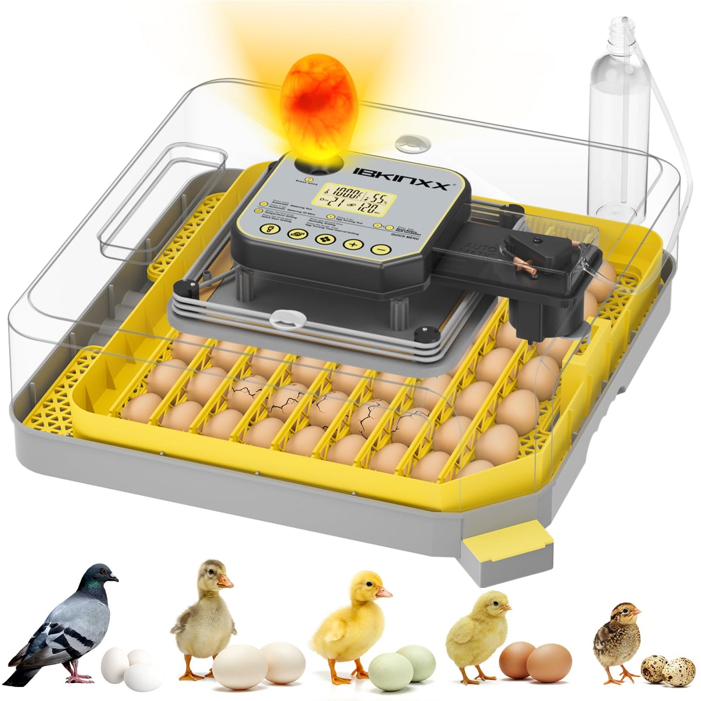 IBKINXX Incubator for Hatching Eggs-48 Egg Capacity, Auto Egg Turner & New Auto Precision Humidity Control System, 360° Clear Viewing for Chicken, Duck and Quail Eggs